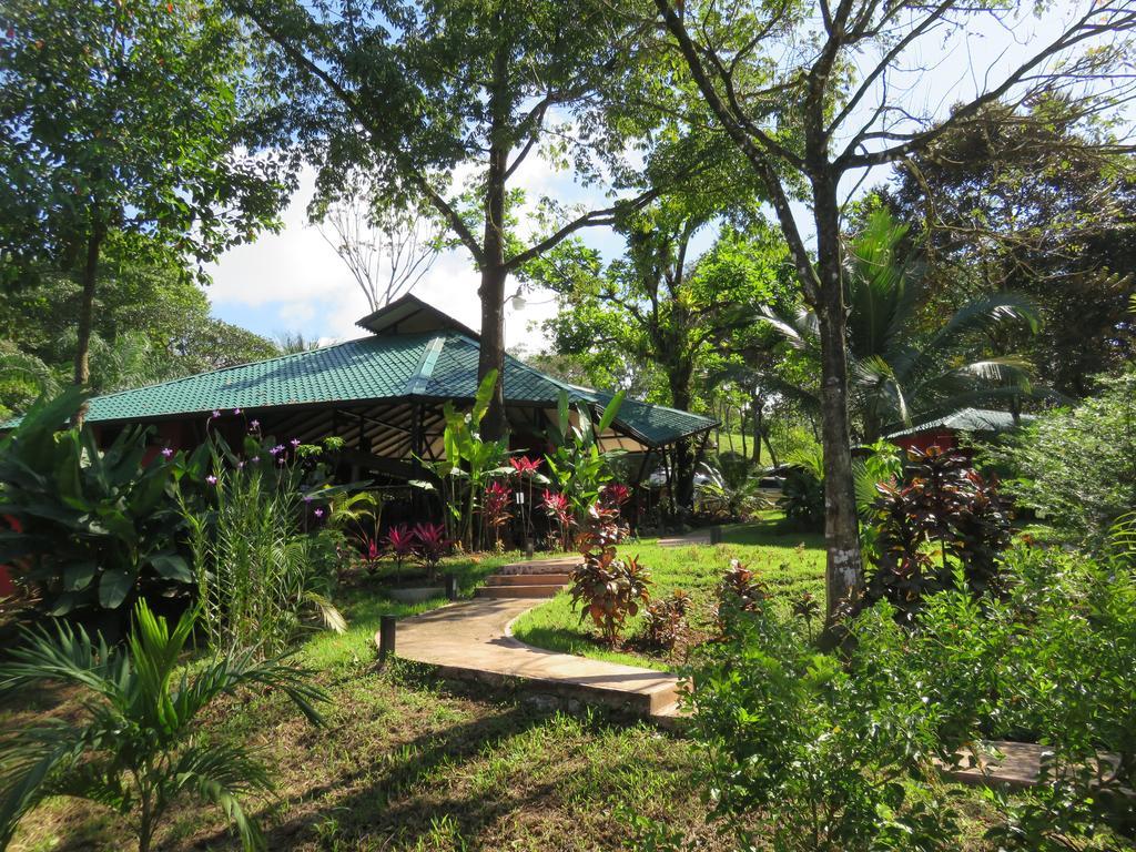 Oasis De Las Palmas Ojochal Luaran gambar
