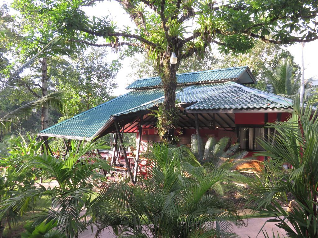 Oasis De Las Palmas Ojochal Luaran gambar