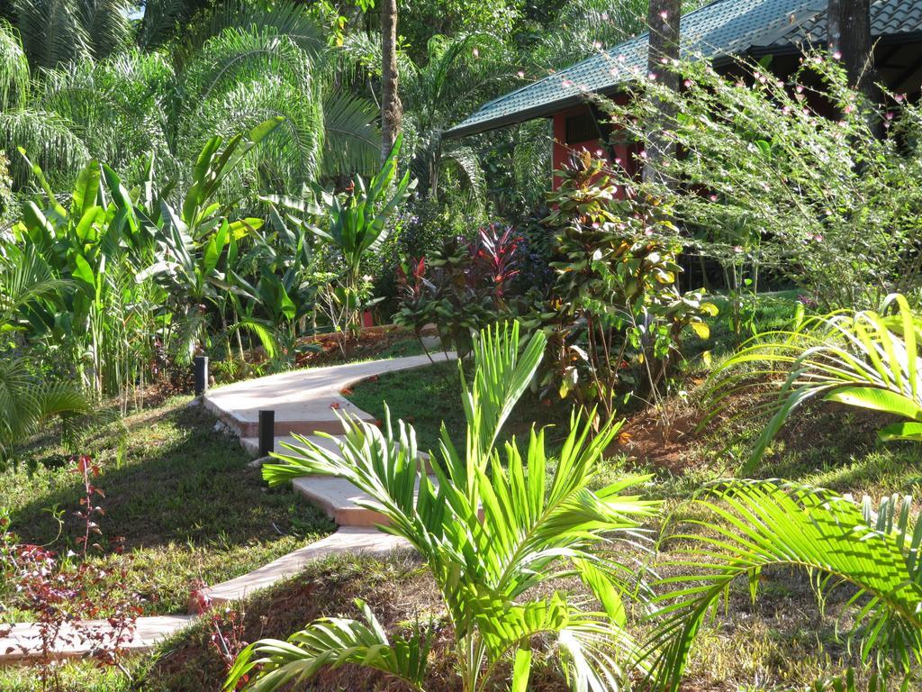 Oasis De Las Palmas Ojochal Luaran gambar