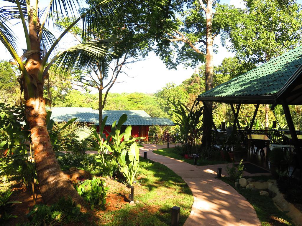 Oasis De Las Palmas Ojochal Luaran gambar