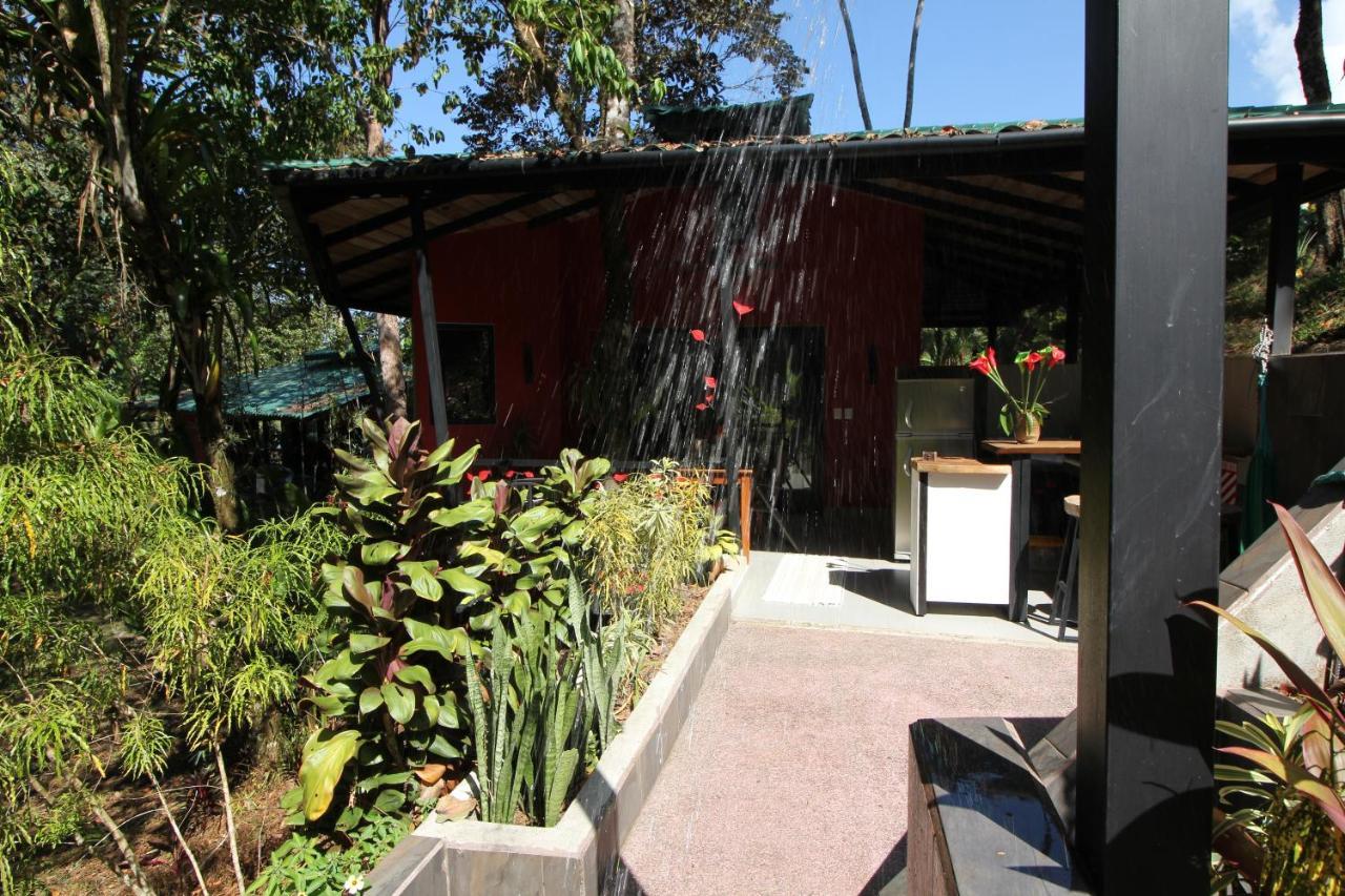 Oasis De Las Palmas Ojochal Luaran gambar
